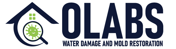 Olabs Water Damage and Mold Restoration